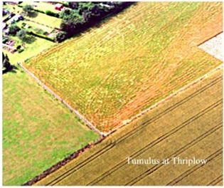 Aerial photograph of the Bronze Age tumulus at Thriplow taken at the end of Summer 2000.  It was taken with a digital camera from an Auster aeroplane flown by David Miller.